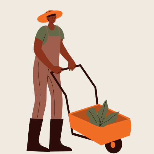 Clerk Accounts Job Opportunity at Agrimark Operations in Western Cape