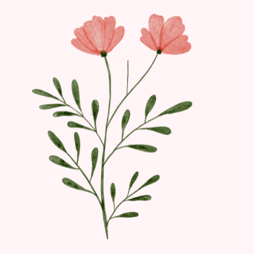 ADENE FARM FLOWERS IS HIRING A FARM TEAM LEAD IN PRETORIA